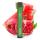 Elf Bar | E-Shisha 2% Nicotin | Watermelone Pomegranate