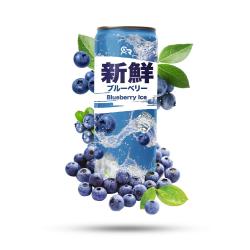 Fresh Drink Blueberry Ice 330ml