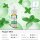 LIQ IT Liquid 10ml - Pepper Mint