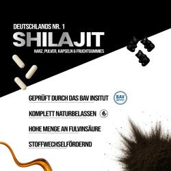 FGN Shilajit Kapseln - Info Uebersicht