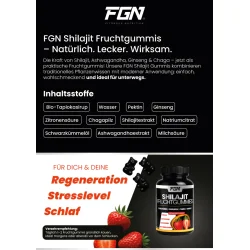 FGN Shilajit Fruchtgummi - Info Uebersicht