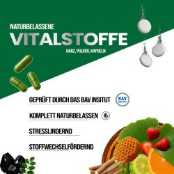 FGN Moringa Kapseln - Info Uebersicht